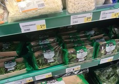 Arugula in a cardboard tray.